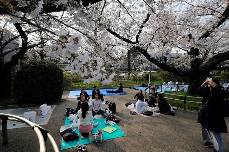 أشخاص في نزهة في طوكيو