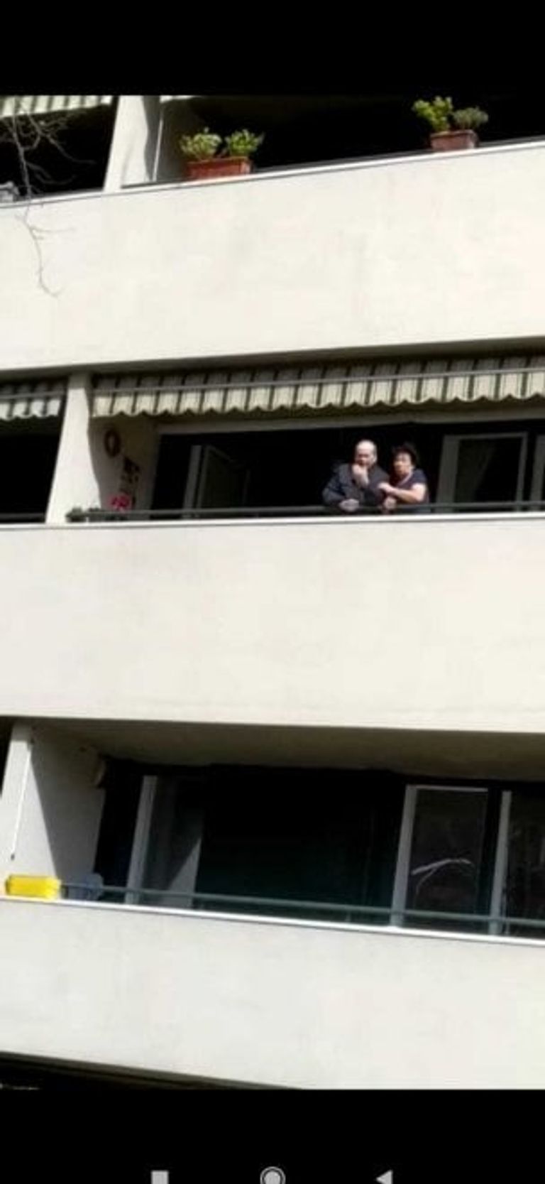 الأحفاد تحت شرفة جدهم للاحتفال بعيد ميلاده