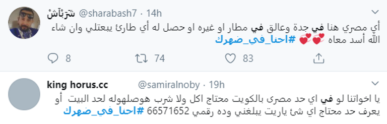 تغريدات تكاتف مع المصريين المغتربين في الخارج لمواجهة كورونا