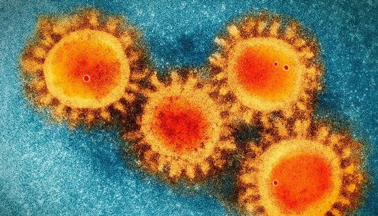 كورونا الجديد ينتمى لعائلة الفيروسات التاجية 