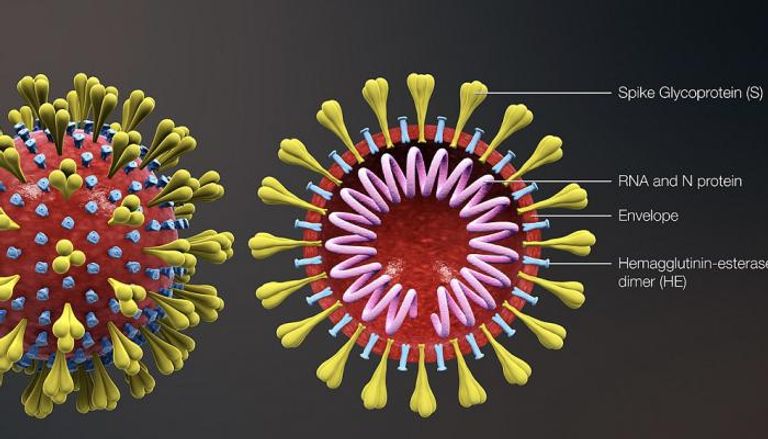 تحليل جيني سابق لفيروس كورونا