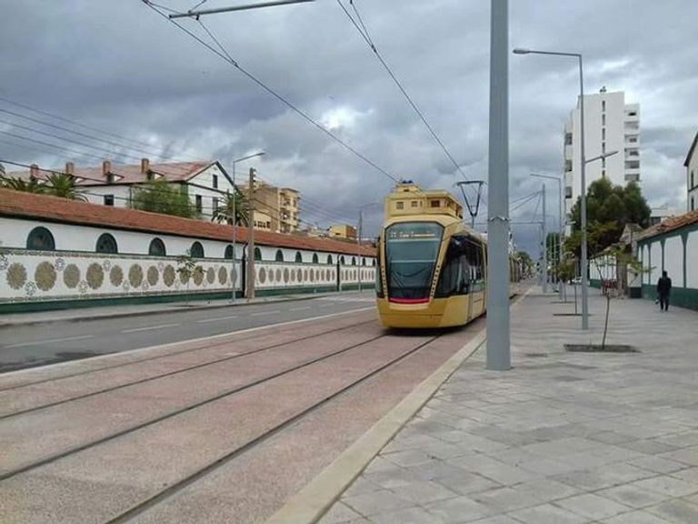 فيروس كورونا يخلي الشوارع في الجزائر