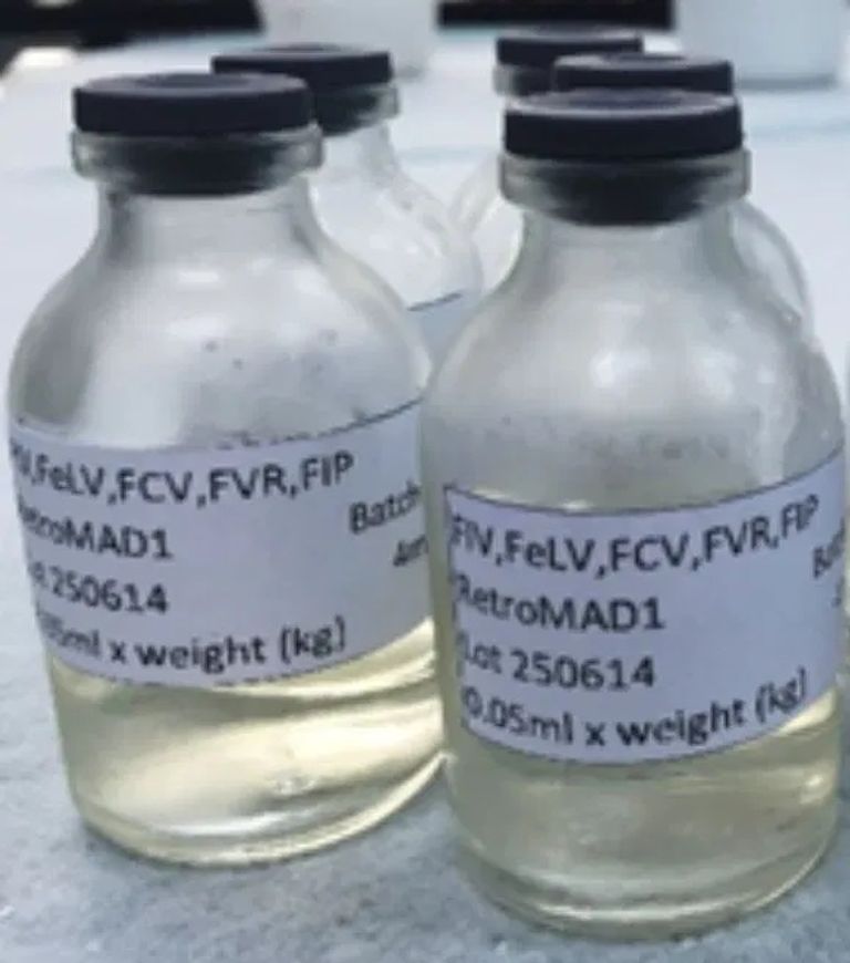 عقار "ريتروماد1"   الشركة ابتكرت الدواء في الأصل لعلاج مرض الهربس لدى البشر - أرشيفية