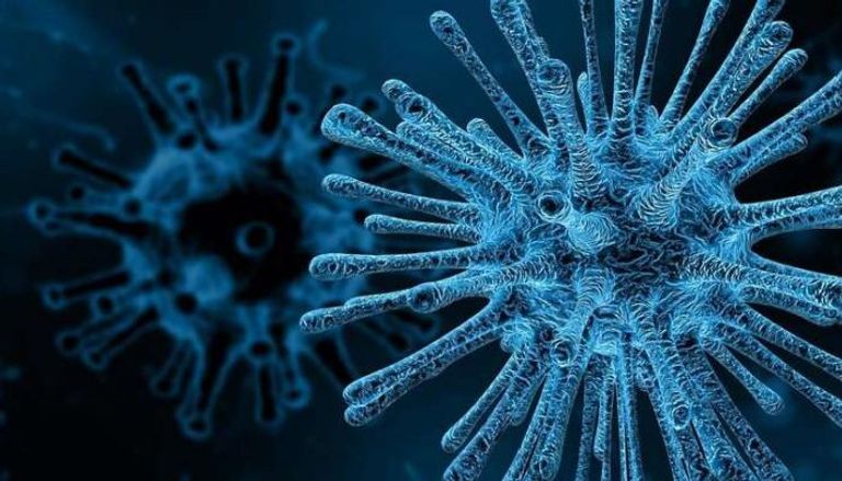 المناعة البشرية قادرة على مواجهة فيروسين في وقت واحد 