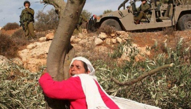 الفلسطينيون متمسكون بالأرض 