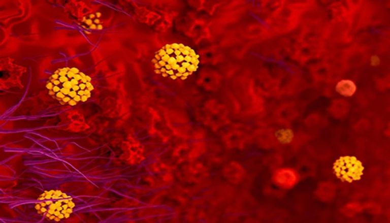 سارة هول ناجية من فيروس كورونا