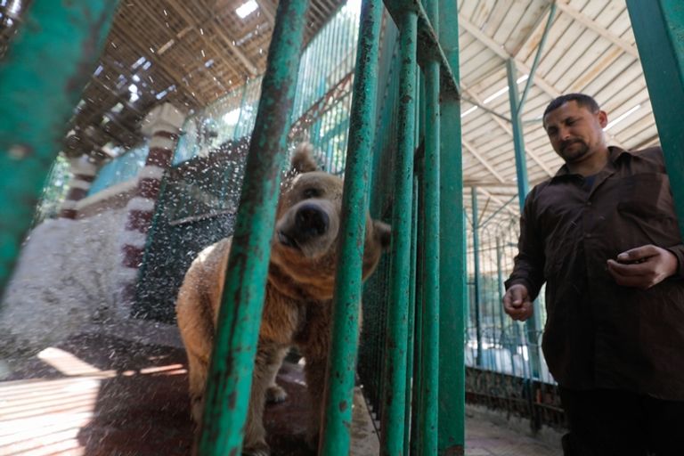 حارس يطعم أحد حيوانات الحديقة