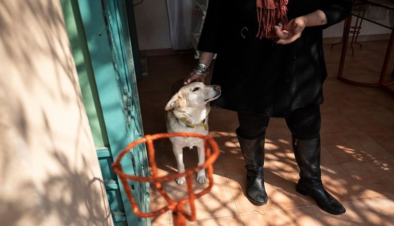 ارتفاع الطلب بشكل هائل على ملاجئ الحيوانات الأليفة في بريطانيا