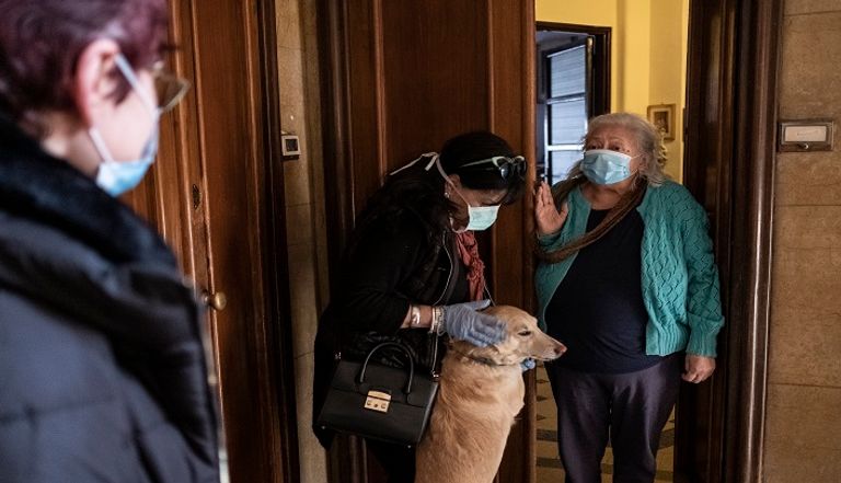 ارتفاع الطلب بشكل هائل على ملاجئ الحيوانات الأليفة في بريطانيا