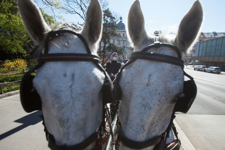 المبادرة أطلقها فندق