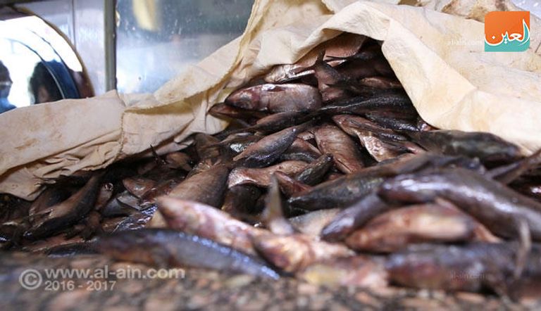 كاميرا العين الإخبارية ترصد الفسيخ والرنجة في الأسواق المصرية قبل الاحتفال بشم النسيم الفسيخ والأسماك المملحة أبرز مظاهر شم النسيم