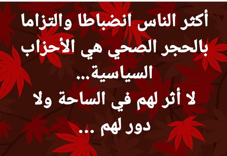 تعليقات الجزائريين عبر مواقع التواصل