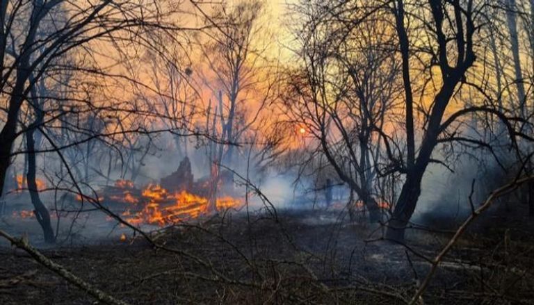 النيران التي اشتعلت في الغابات القريبة من تشيرنوبل