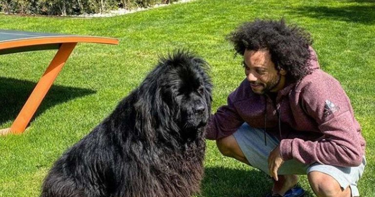 كريستيانو رونالدو