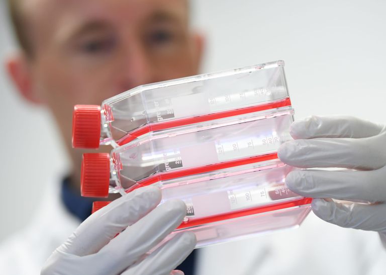 تسجيل الجينوم الخاص بكورونا يفتح الباب لإيجاد علاج فعال