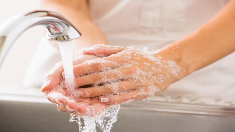 غسيل اليدين لزيادة المناعة المناعة والمواد الطبيعية التي تقويها.. منها الزنجبيل والشاي الأخضر