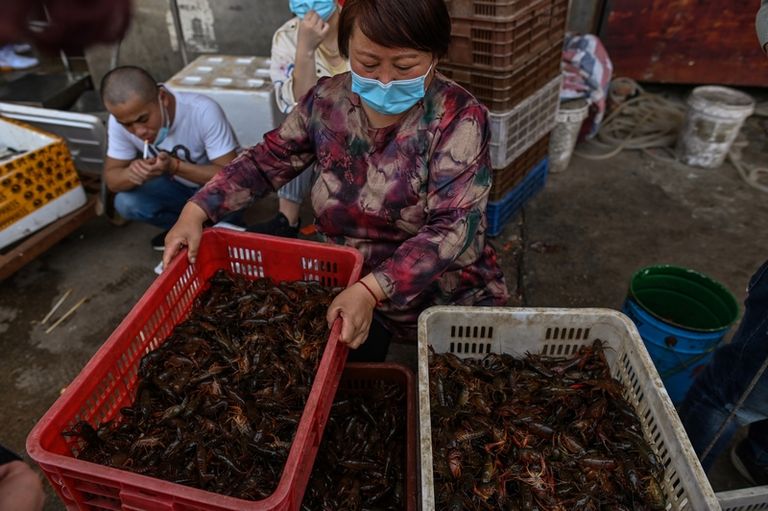  أسواق ووهان الشعبية 