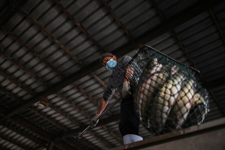  أسواق ووهان الشعبية 