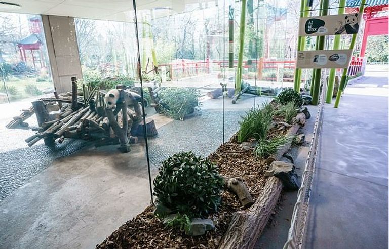 الحديقة تواجه عجزا في شراء الأسماك لإطعام الفقمة