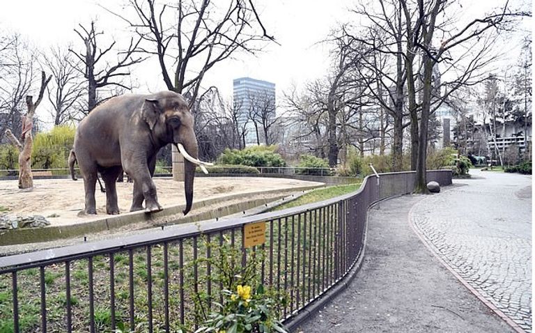 الحديقة تواجه عجزا في شراء الأسماك لإطعام الفقمة