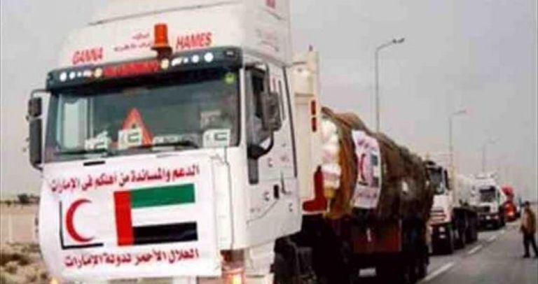 شحنة مساعدات إماراتية لأهالي غزة لمواجهة كورونا- أرشيفية 