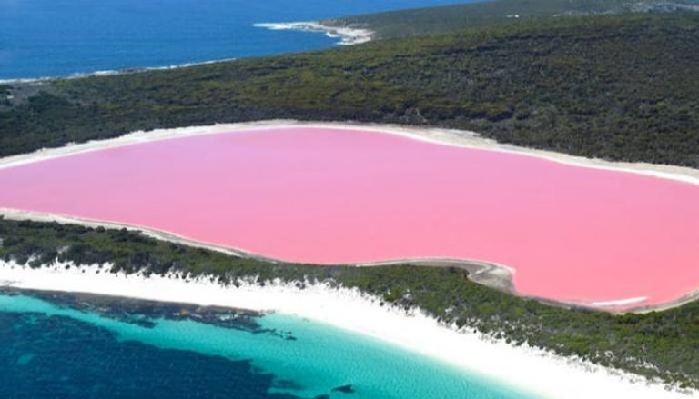 بحيرة هيلر الوردية في أستراليا