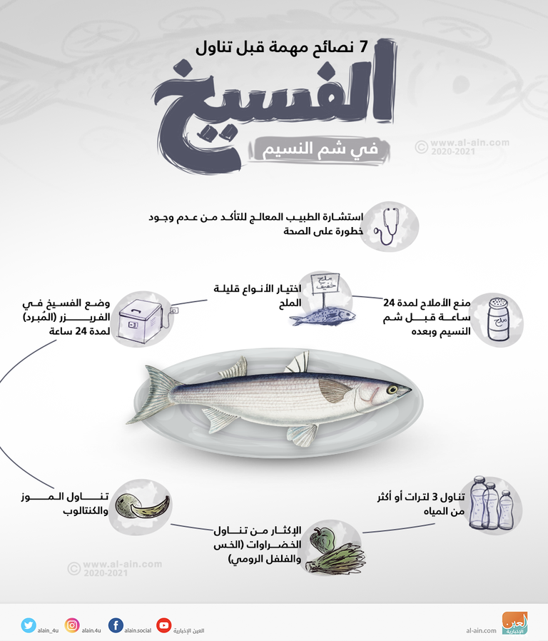 7 نصائح قبل تناول الفسيخ في "شم النسيم"