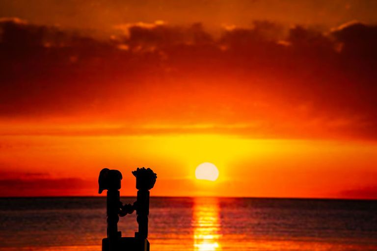 فريد وفلورنس بطلا جلسة تصوير البريطاني كريس والاس