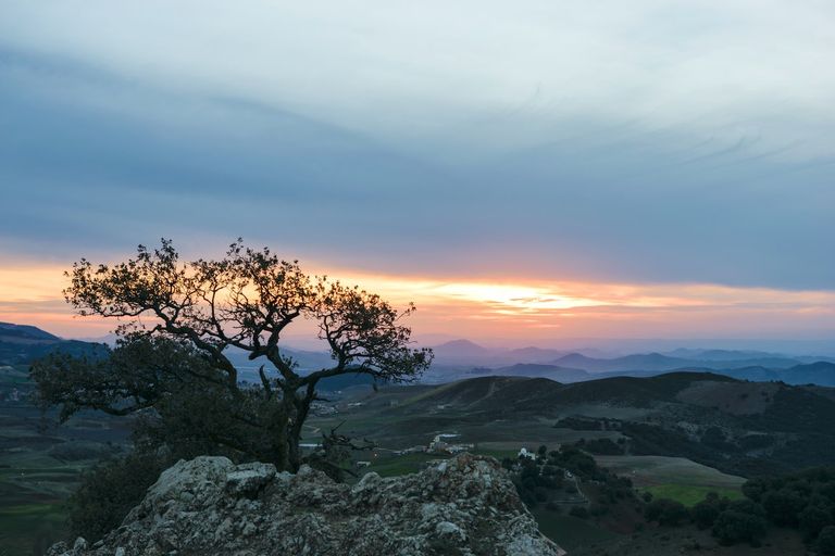 مدينة إفران المغربية المصممة على الطراز الأوروبي