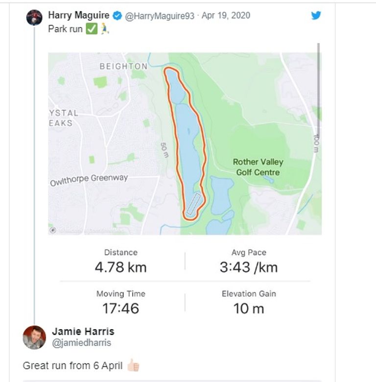 هاري ماجواير