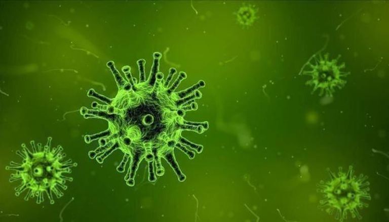 فيروس كورونا المستجد من الأمراض حيوانية المنشأ