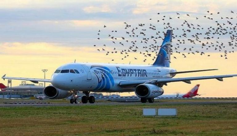  رحلات استثنائية لشركة مصر للطيران 