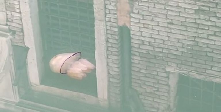 مدينة البندقية الإيطالية