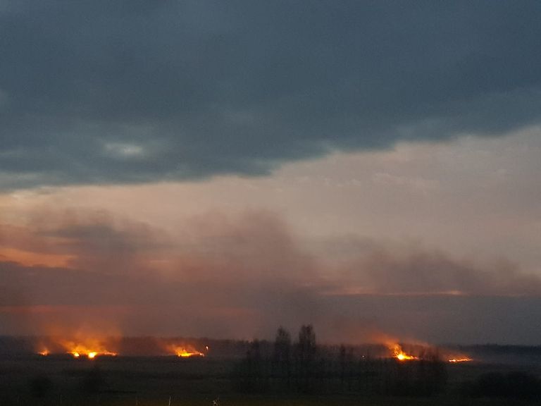 حريق الغابات يهدد البيئة في بولندا