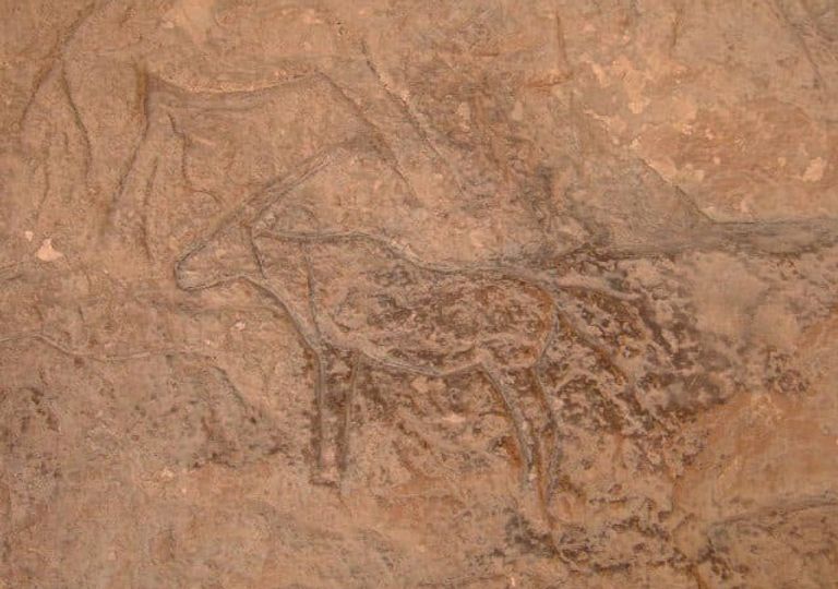 مصر تعلن اكتشاف كهف أثري في سيناء 