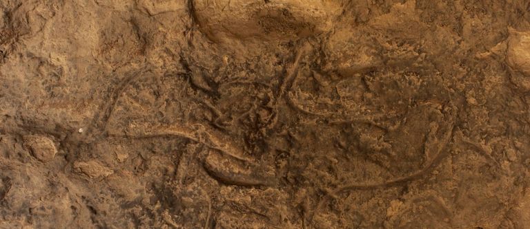 مصر تعلن اكتشاف كهف أثري في سيناء 