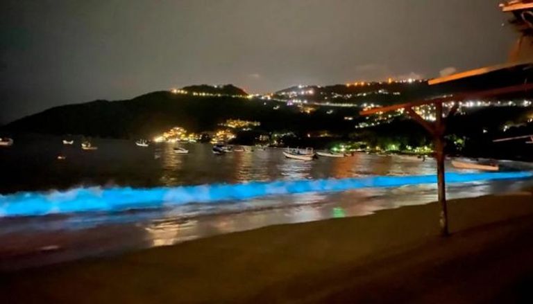أمواج زرقاء مضيئة تصطدم بأحد شواطئ المكسيك