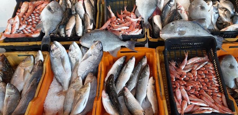 سلع وخضراوات بالأسواق الليبية سلع وخضراوات بالأسواق الليبية