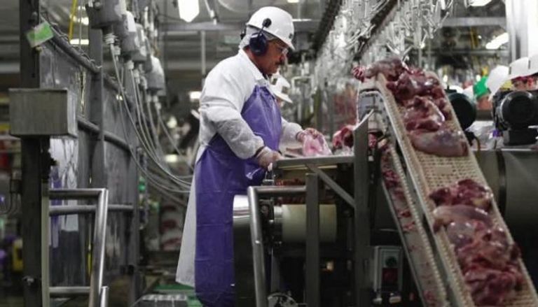 أحد مسالخ اللحوم في أمريكا - رويترز