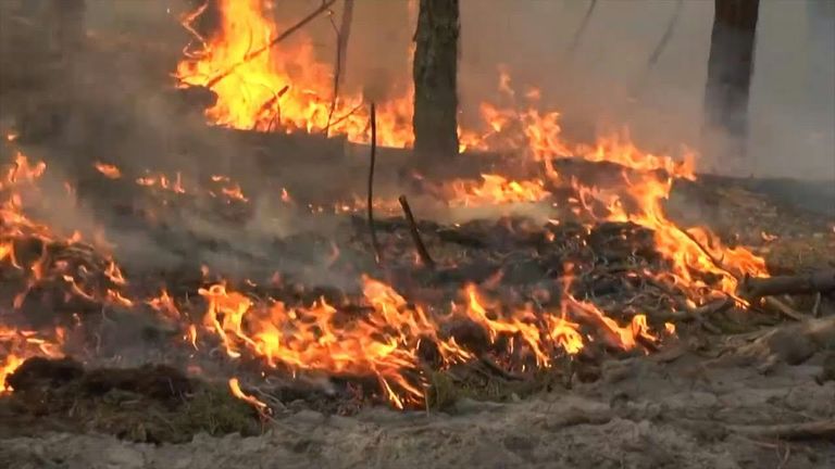 حرائق غابات تشرنوبل المشعة مستمرة منذ شهر