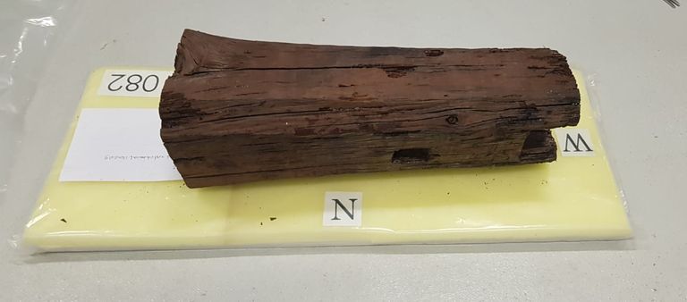 قطعة خشبية من مركب الملك خوفو 