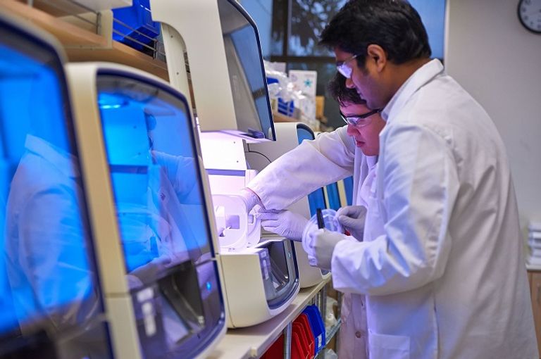 شركة بمجمع دبي للعلوم