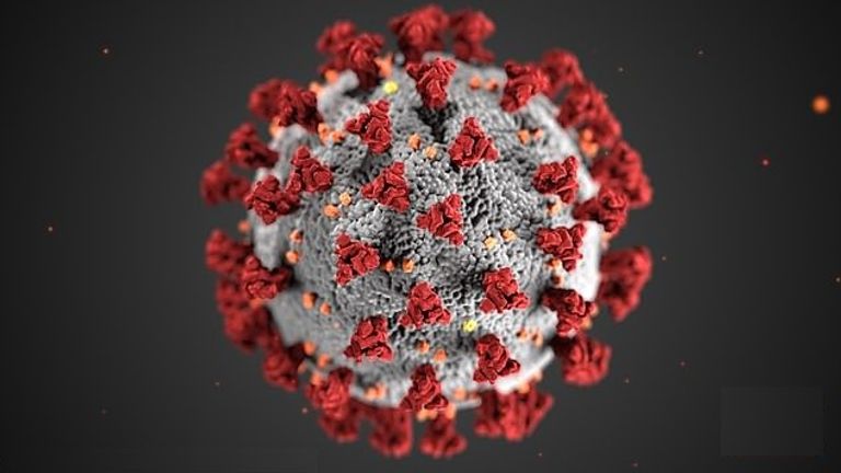 الأجسام المضادة تمنع إصابة الخلايا بالفيروس