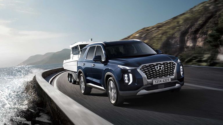 Palisade Calligraphy 2020