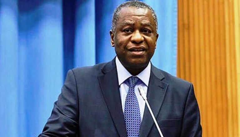 وزير الخارجية النيجيري، جيفري أونياما طائرة تابعة لشركة طيران الإمارات - أرشيفية