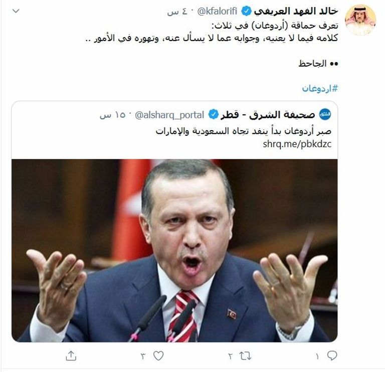 الرئيس التركي رجب طيب أردوغان - أرشيفية