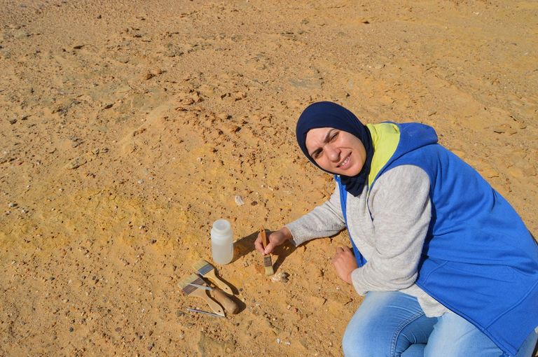 الباحثة المصرية شروق الأشقر