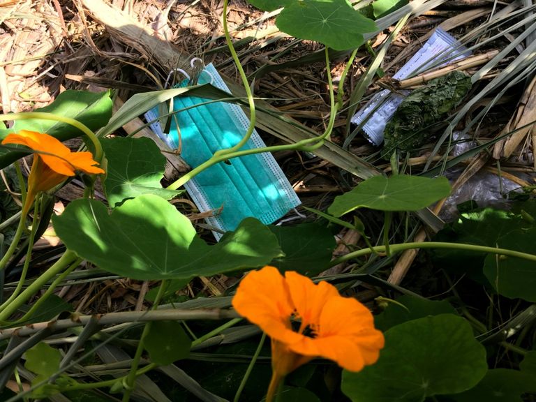 كمامة ملقاة في الشارع