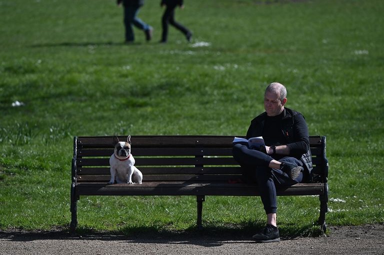 الباحثة لوسي آشر تنظر في العلاقة بين العمر واستجابة الكلاب للأوامر
