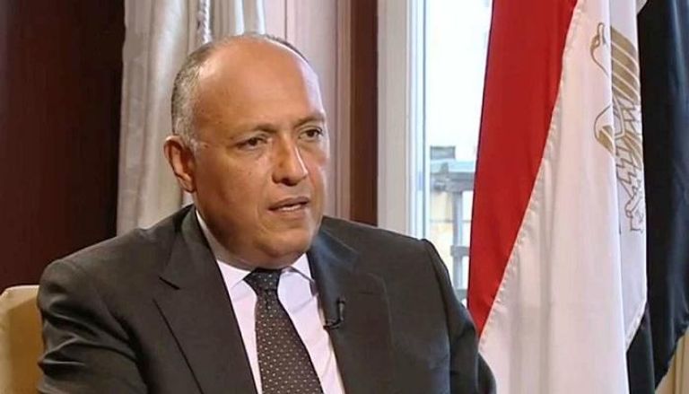 وزير الخارجية المصري سامح شكري - أرشيفية